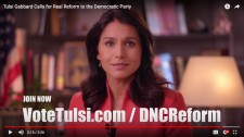 Tulsi Gabbard DNC Reform