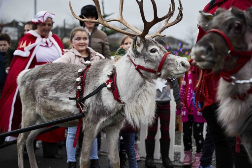 Santa's Reindeer Visit Firhouse