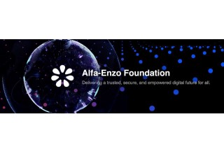 Alfa Enzo Network