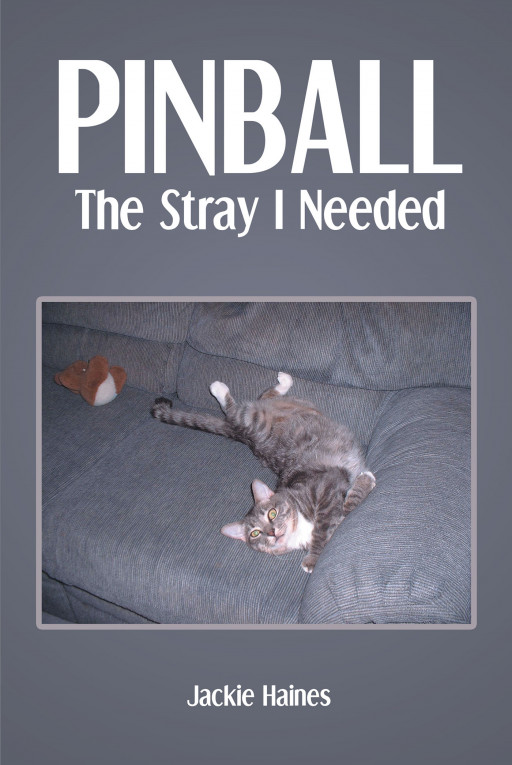 Author Jackie Haines' new book, 'Pinball, The Stray I Needed' is the heartwarming tale of a cat who provided a special touch of God's love