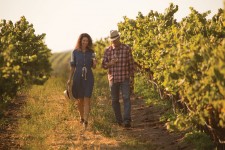 Santa Maria Valley $500 Wine Weekend Getaway