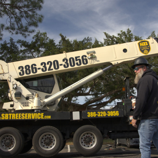 Stay Storm-Ready With SB Tree Service: Your Trusted Neighbor for Hurricane Season Tree Care in Volusia and Flagler