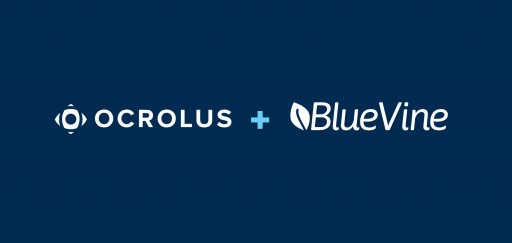 BlueVine Partners With Ocrolus for Faster Processing of Financing Applications