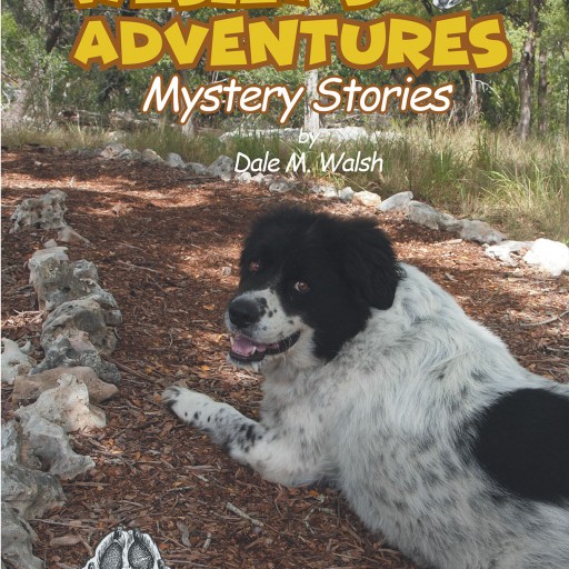 Dale M. Walsh's New Book, 'Wesley's Adventures: Mystery Stories' is an Enjoyable Tale of the Titular Character's Epic and Mysterious Adventures