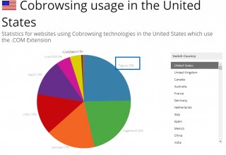 co-browsing usages in the United states