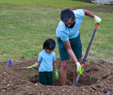 Texas Trees Foundation Planting Day