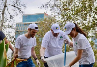 Hollywood cleanup