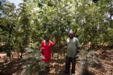 Davis Mukolwe, a smallholder client of One Acre Fund