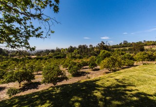 Relaxing Valley & Distant Horizon Views From Nearly Every Room