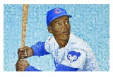 Mr. Cub