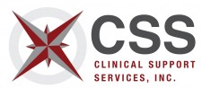 CSS Logo