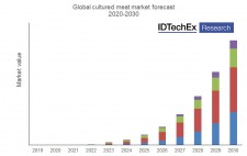 Global cultured meat forecast. (Source: IDTechEx report "Plant-based and Cultured Meat 2020-2030")