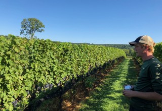 Daniel Mumbauer of Stone Tower Winery