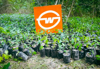 Gebrüder Weiss Corporate Forest in Sokpokopé, Togo