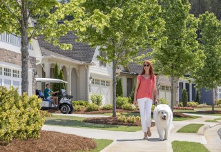 Cresswind Streetscape