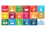 The 17 Sustainable Development Goals