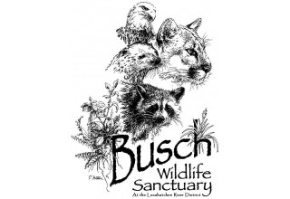 Busch Wildlife Sanctuary Logo