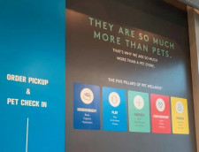 Experience Pet Wellness at Natural Pawz Houston