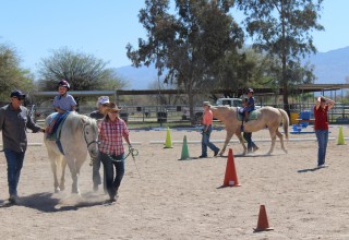 Therapeutic riding exercises 