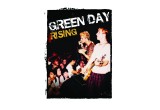 Green Day Rising: Before the Dookie Flew