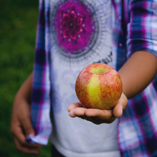 Chef Ann Foundation Announces Recipients of Partnerships for Local Agriculture & Nutrition Transformation in Schools Grants