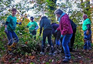 Keeping a local park clean and green