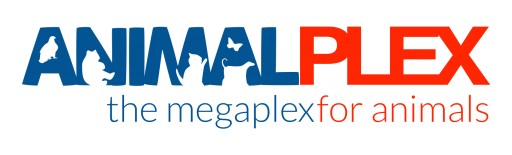 AnimalPlex.com Reports: The Largest Lion Airlift