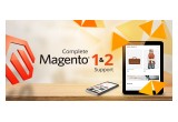 Magento 1 & 2 Data entry