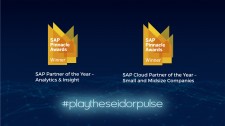 Seidor has been recognized with two prestigiuos 2018 SAP Pinnacle Awards. 