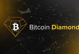 Bitcoin Diamond Logo