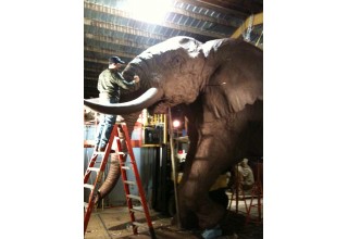 35' Elephant by Lorenzo Ghiglieri