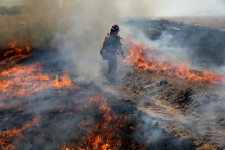 CAL FIRE Firefighter