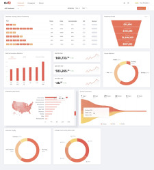 BidX AMC Dashboard