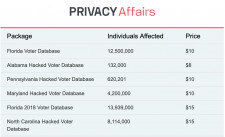 Leaked Voter Databases