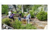 Building the Rain Garden