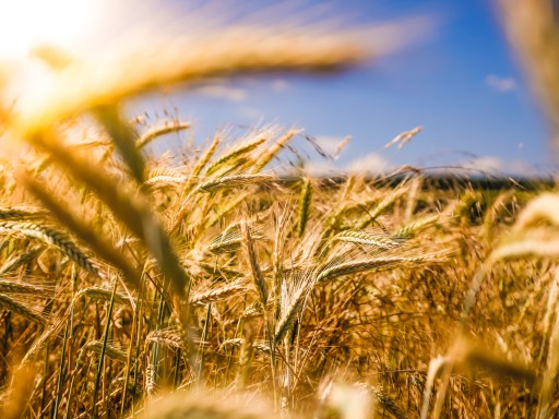 UBIMET and World Bank Support Farmers in Kosovo