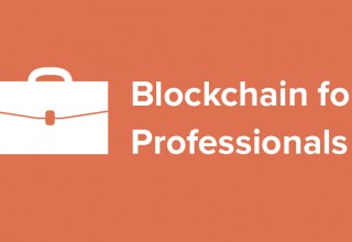 Blockchain for Professionals