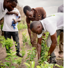 The Gebrüder Weiss Corporate Forest Project in Togo