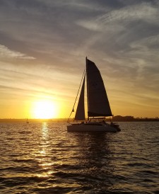 san-diego-sightseeing-fun-cat-sailing